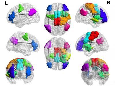 研究发现常玩游戏者大脑与众不同 反应快意识