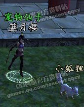 QQ西游专区_官网首要合作媒体