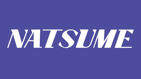 Natsume携四款任天堂新作参加E3游戏展