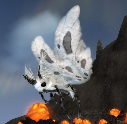 《魔兽世界》4.0版本猎人宝宝图鉴及捕捉指南