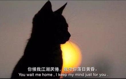 洋葱新闻:年轻有时就要浪!