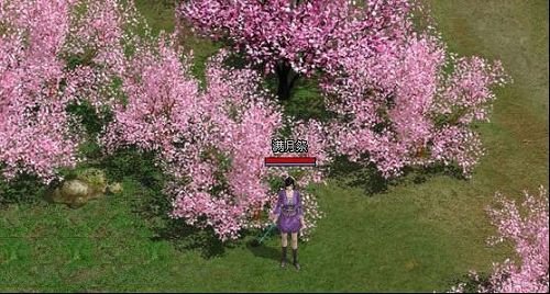 淡定的柱子哥哥 热闹的网页游戏