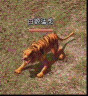 白额猛虎