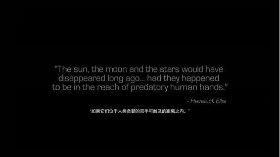 年货13,能否征服星辰大海