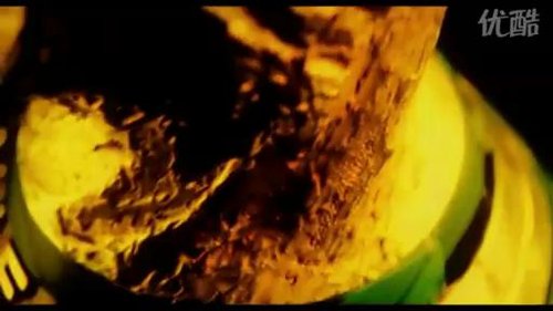 视频:2010南非世界杯 五大进球庆祝动作