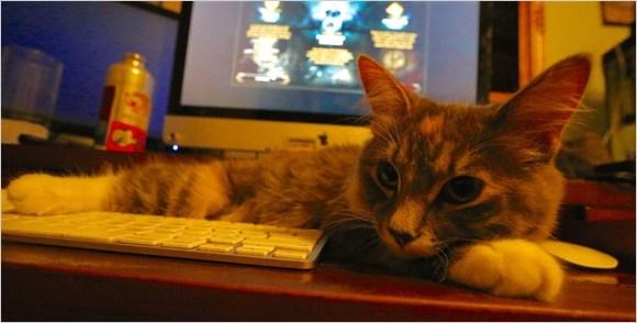 �����ը�����ݶ�����2015��ѩ���껪