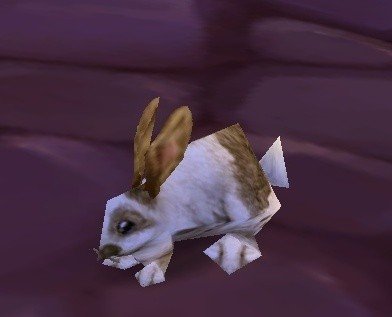 魔兽世界战斗宠物大全 收集狂玩家最爱