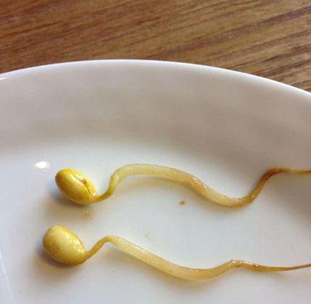 洋葱新闻:人生如戏全靠演技_游戏_腾讯网