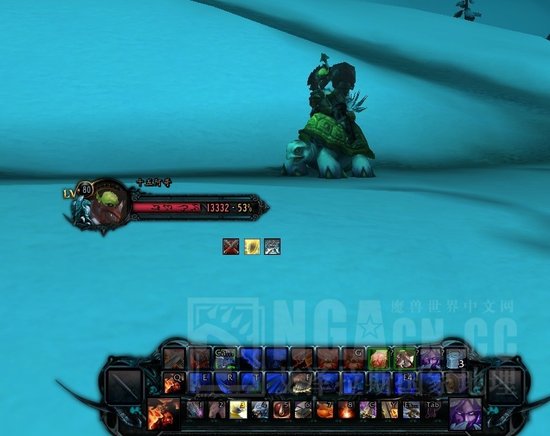 传说中出龟率最高的地方?有图有真相