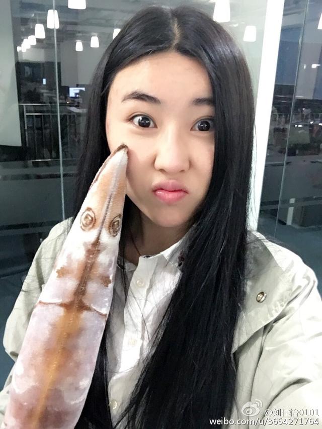 ����������ĥ������