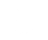 FSLת���鱨��24��������ת�ᳱ RONLYս�Ӵ����