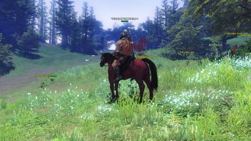 买时装才能组队?《霸王大陆2》遭玩家劣评_游戏_腾讯网