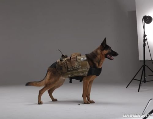 《使命召唤10:幽灵》支持Xbox语音操控系统