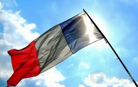 法国政府提出新议案 拟承认电竞运动员身份