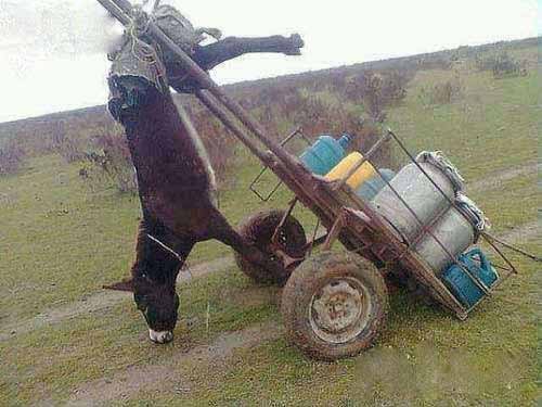 洋葱新闻:多么痛的领悟!