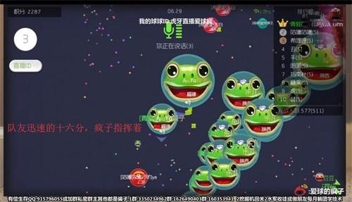 球球大作战绝地反击 主播疯子淡定指挥一波反