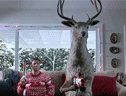 Super divertido! Bonito caza alces no xogo de Nadal xogos de Wii