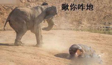 洋葱新闻:能不能好好聊天了