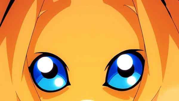 뱦ðtri.֧PV ̫һǹط꣡