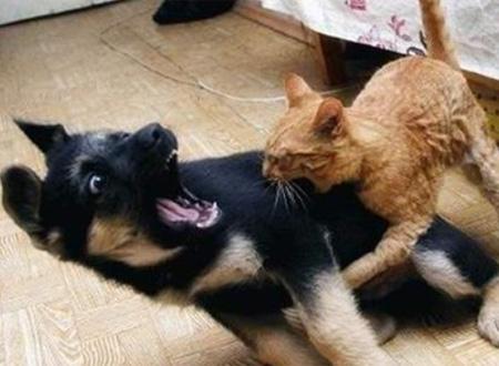 有话题第76期:你对电竞圈不时爆粗口怎么看?