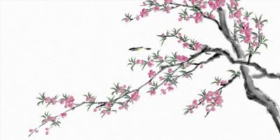 QQ仙侠传超强公会自制唯美视频:花蝶醉_游戏