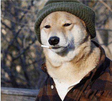 洋葱新闻:大学优秀毕业生放弃考研 街头乞讨竟