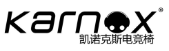 2017ѵ羺֮һ NEECԲĻ