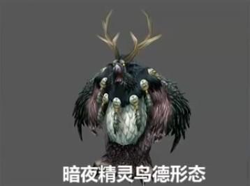 咕咕的造型与历史:你最喜欢捅哪只大萌德?