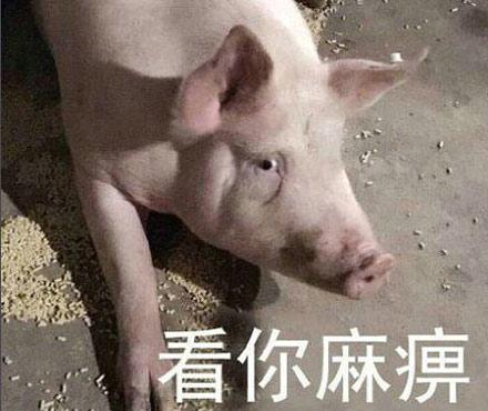 洋葱新闻：各地结婚聘礼曝光 你们那里排第几？