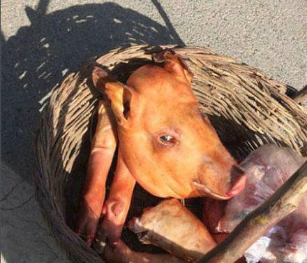 洋葱新闻：各地结婚聘礼曝光 你们那里排第几？