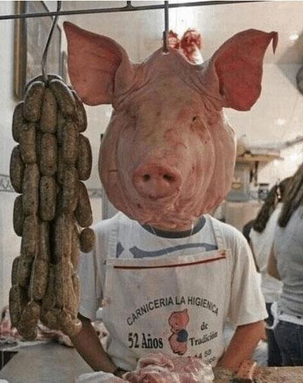 洋葱新闻:人生如戏全靠演技