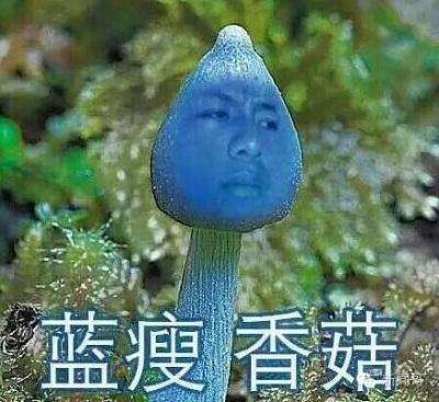 ����ֱ���᳤���ֵ�ϴ�˵ ¯ʯ���²��������㹽��
