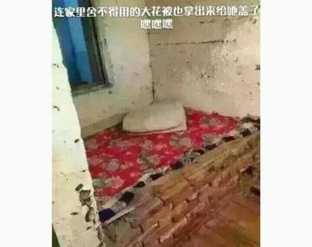 洋葱新闻：各地结婚聘礼曝光 你们那里排第几？