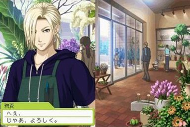 nds《<em>心跳回忆女生版</em>3》日版