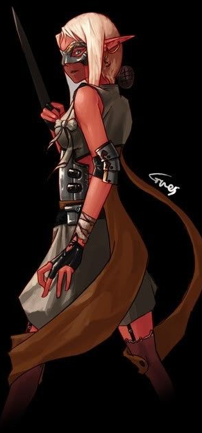 DNF韩服2015更新计划猜想:或推女帕拉丁职业