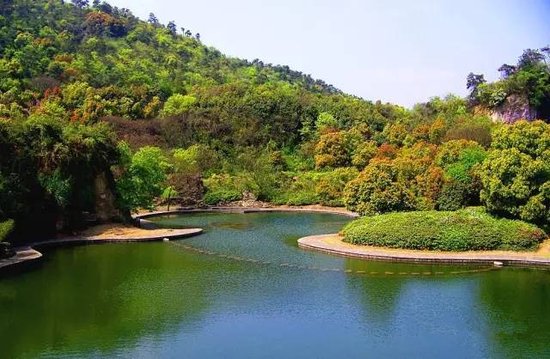 【九里峰山】国学大师“于丹”风采演讲圆满落幕_频道-赣州_腾讯网