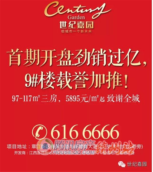 世纪嘉园首期开盘劲销过亿 5895元\/㎡起致谢全