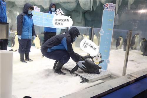 海洋王国的企鹅宝宝有名字啦~快来看看是不是