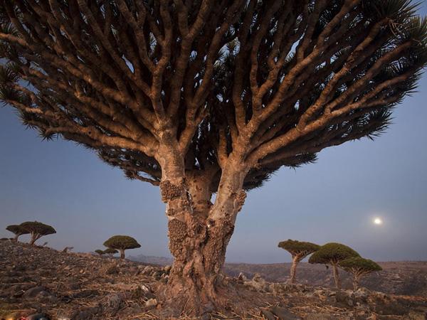 鬼斧神工的自然造诣 探秘地球上最怪异的美景