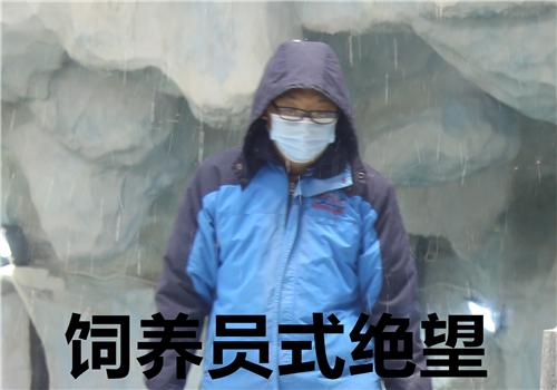 海洋王国的企鹅宝宝有名字啦~快来看看是不是