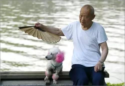 在广州,工资多少决定了你的避暑方式!