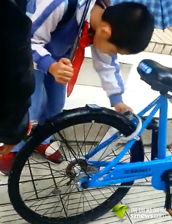 小学生徒手解锁!共享单车不能 共享 给小学生
