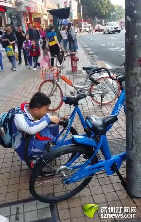 小学生徒手解锁!共享单车不能 共享 给小学生