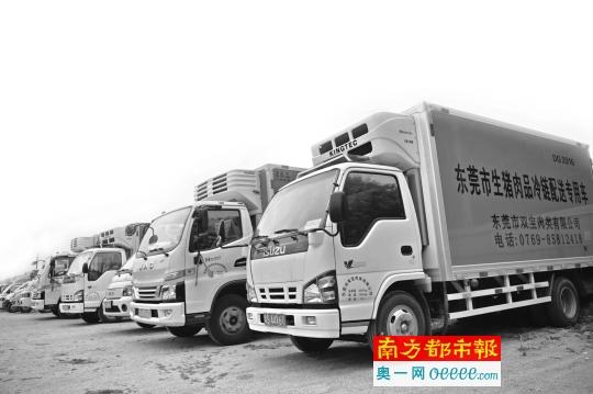 厚街生豬肉品統(tǒng)一冷鏈配送 每頭豬身上都有‘身份證’編碼