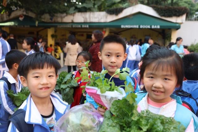 流塘小学举办百草园蔬菜集市