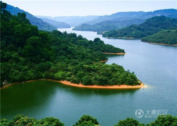 清明假期广东好去处——青山绿水 鸟语花香