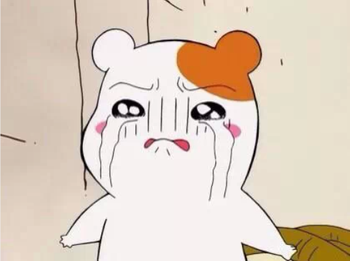 买房贷款收入证明模板_房姐收入够买房(3)