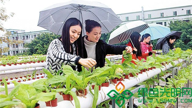 长圳学校改制为九年一贯制学校