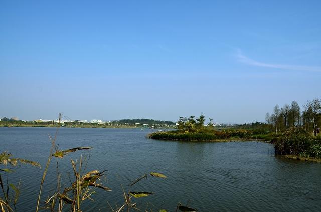 原来广东有这么多湿地公园！别再说周末没地方玩啦