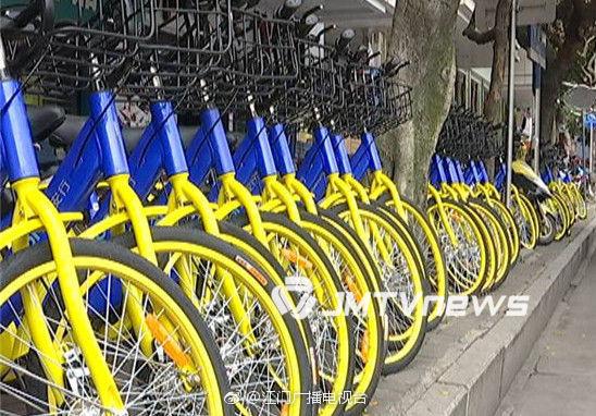 江门共享单车或有专门区域停放 有序停车可获